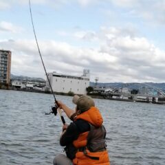 琵琶湖南湖でフィーダーフィッシング～フナ、ニゴイの釣果