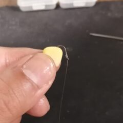 トウモロコシをフックにつける３つの方法