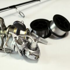 フィーダーフィッシングで使用するラインについて