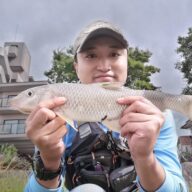 琵琶湖でフィーダーフィッシング～モロコ、ニゴイの釣果～