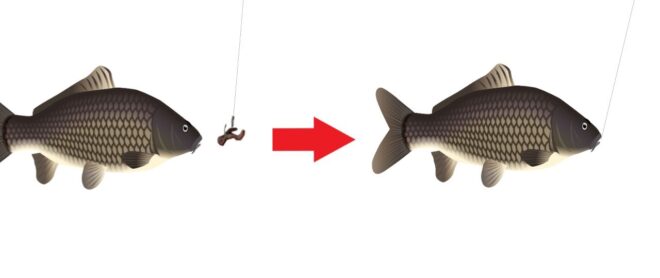 フィーダーフィッシングで大きな魚を捕まえる～ヘアリグの使い方