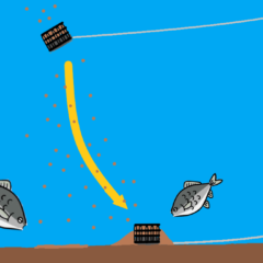 フィーダーフィッシングで大きな魚を捕まえる～位置を変える～