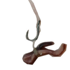 フィーダーフィッシングで大きな魚を捕まえる～ヘアリグの使い方～